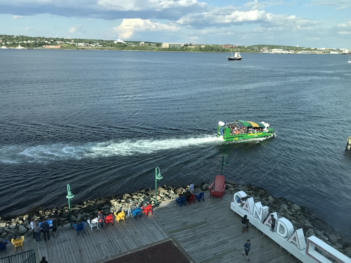 ride the Halifax Harbour Hopper through the city and harbour