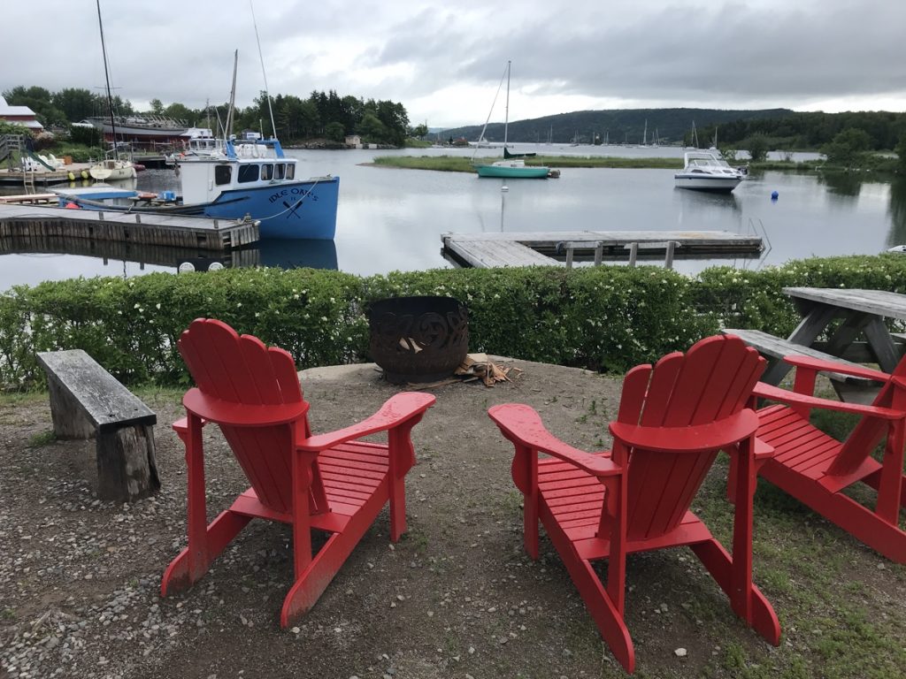 puffin tour cape breton