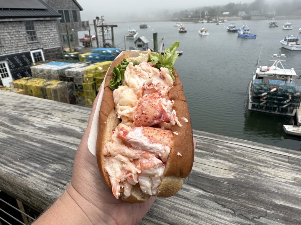 a lobster roll from thurstons lobster pound in maine